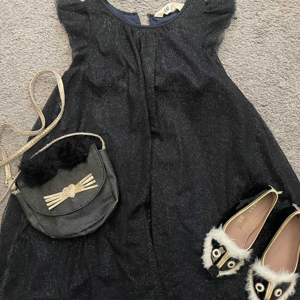 Beautiful sparkling dress